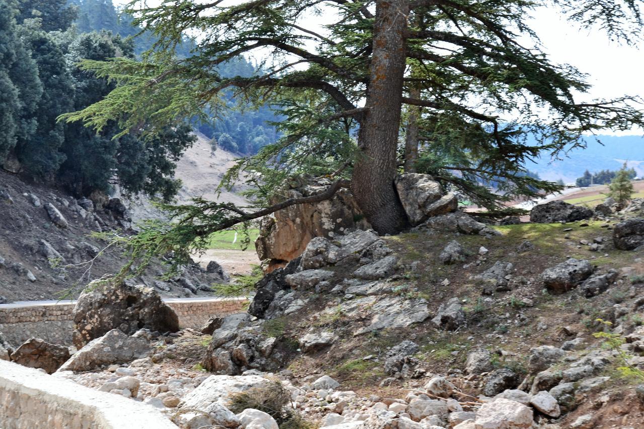 Ferme DHote Lala Fatima Ain Leuh Esterno foto